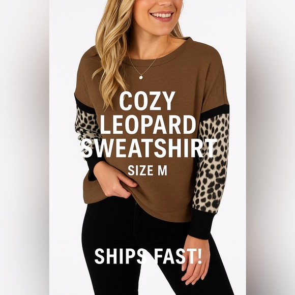 Tops - Brown Leopard Colorblock Sweatshirt Pullover Top M | Comfy Casual Fall